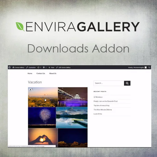 Envira Gallery – Downloads Addon - Envira Gallery – Downloads Addon