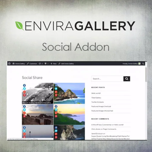 Envira Gallery – Social Addon - Envira Gallery – Social Addon