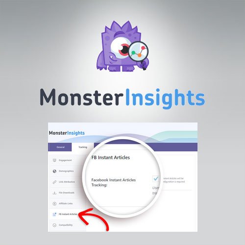 MonsterInsights – Facebook Instant Articles Addon