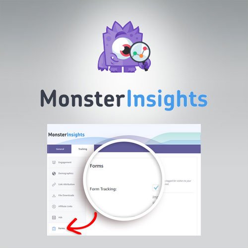 MonsterInsights – Forms Tracking Addon